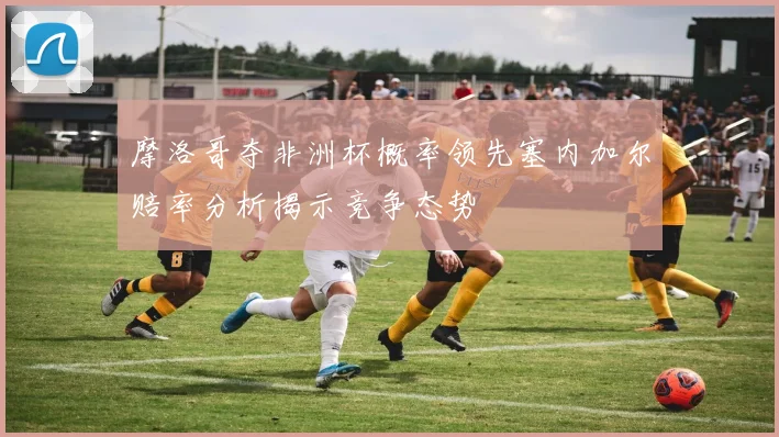 摩洛哥夺非洲杯概率领先塞内加尔赔率分析揭示竞争态势